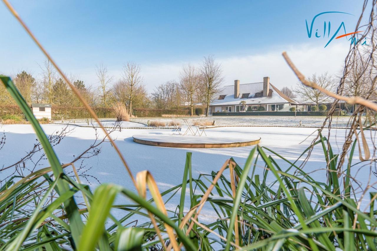 Villami Anzegem Eksteriør bilde